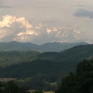 Meet your Posher, Luke